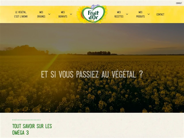 Fruit d'or