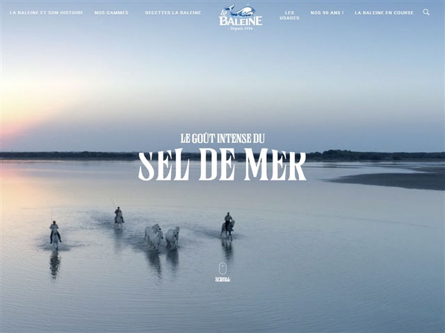La Baleine