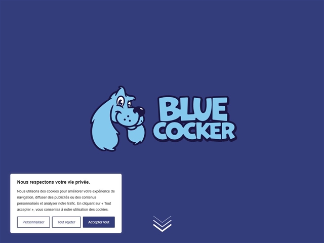 Blue Cocker