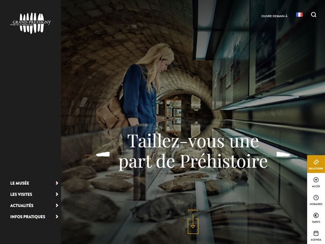 Château du Grand-Pressigny - Musée de la Préhistoire