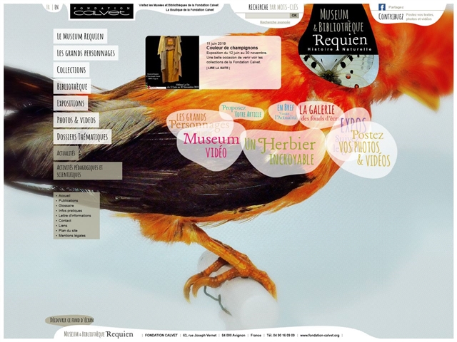 Muséum d'Histoire naturelle Requien