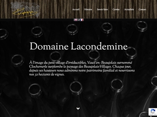 Domaine Lacondemine