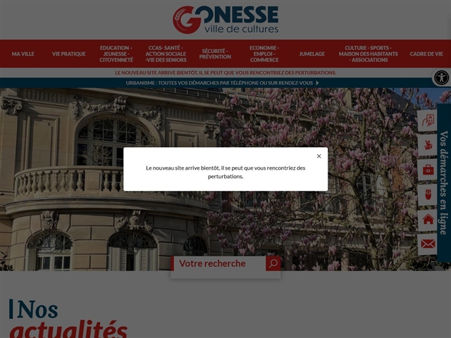 Gonesse (95500)