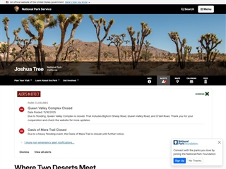 Parc National de Joshua Tree