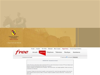 Château des Ducs de Lorraine