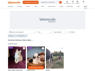 Le Bon Coin : Animaux