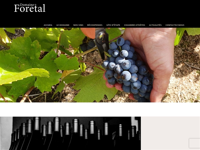 Domaine de Foretal