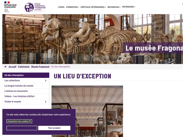 Musée Fragonard de l'École nationale vétérinaire