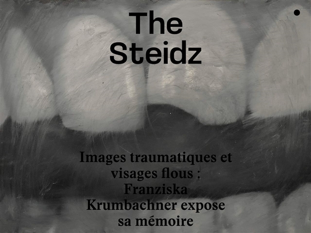 The Steidz
