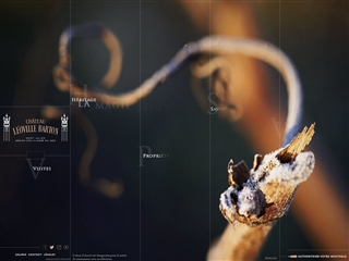 Château Léoville Barton