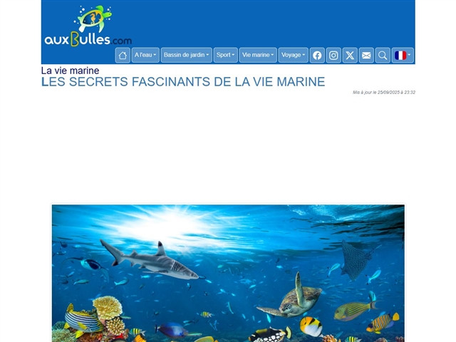 auxBulles.com : La flore et la faune sous-marine