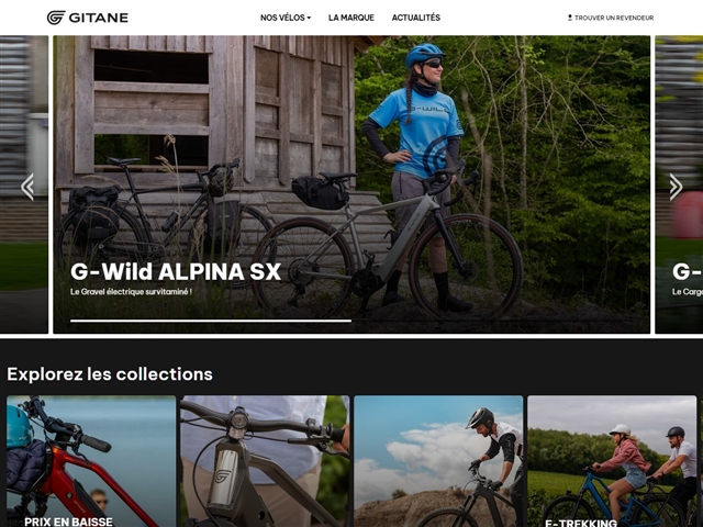 Gitane