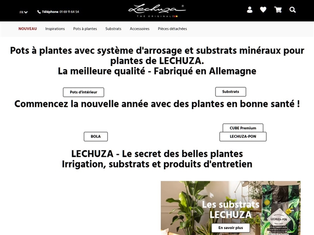 Lechuza
